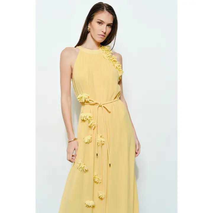 Hello Sunshine Dress