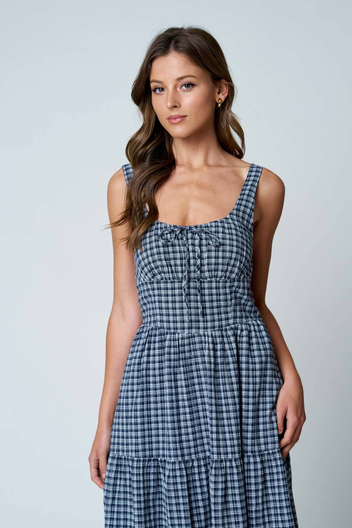Dakota Gingham