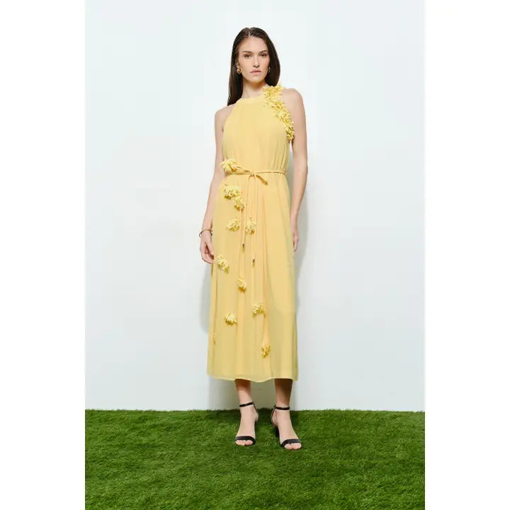 Hello Sunshine Dress